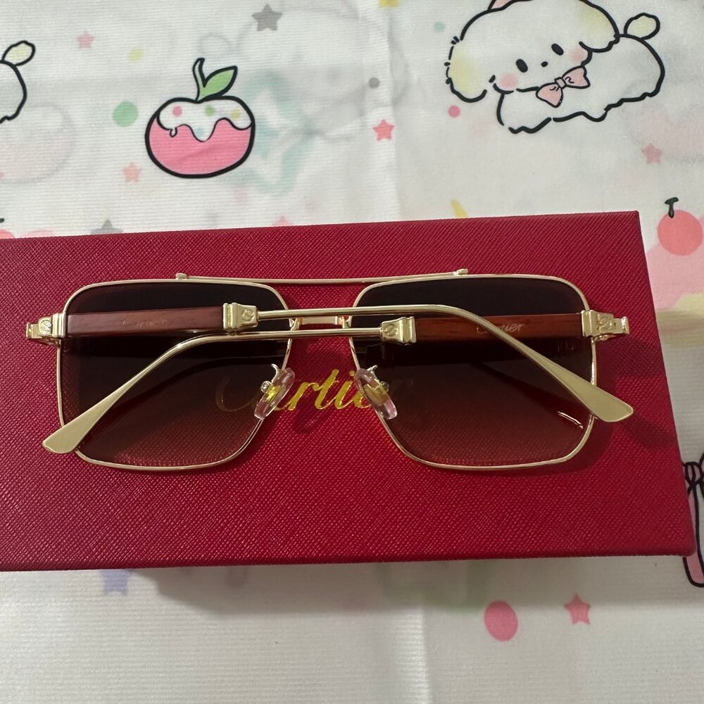 Cartier Brown Unisex Sunglasses - Picture 5 of 6